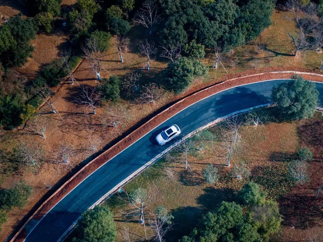 今年开放！杭州新增一座超大型植物园！