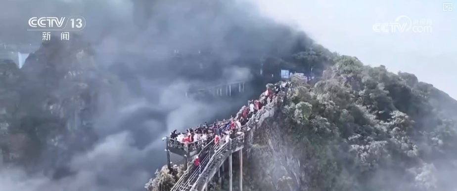 “新”中有“机”！创新服务承接新流量 撬动消费升级