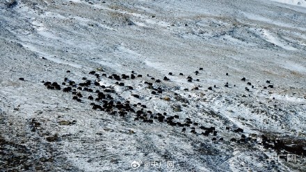 冬日阿尼玛卿雪山有多壮美 冬日阿尼玛卿雪山有多壮美