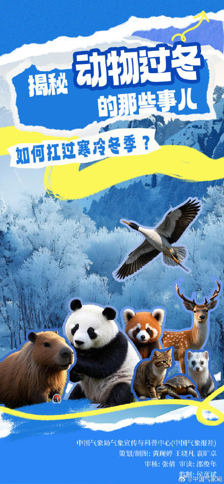 冷空气又又又来了 但它们究竟如何扛过寒冷冬季？