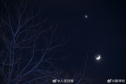 抬头接好运！2025一开年就有金星伴月
