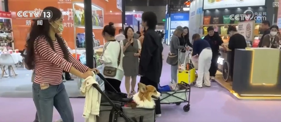 “新”中有“机”！创新服务承接新流量 撬动消费升级