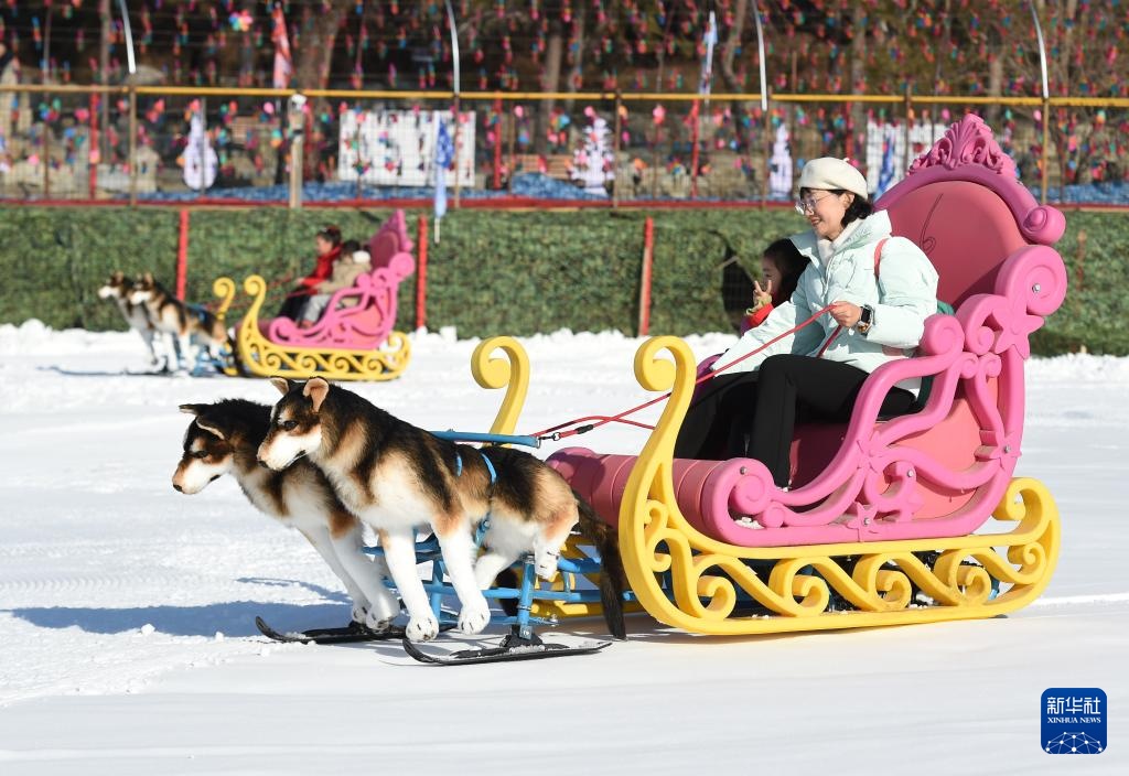 2025年圆明园第四届欢乐冰雪季正式开启