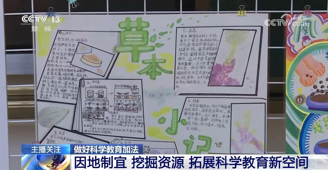 如何做好中小学生科学教育加法？关注这些“打开方式”