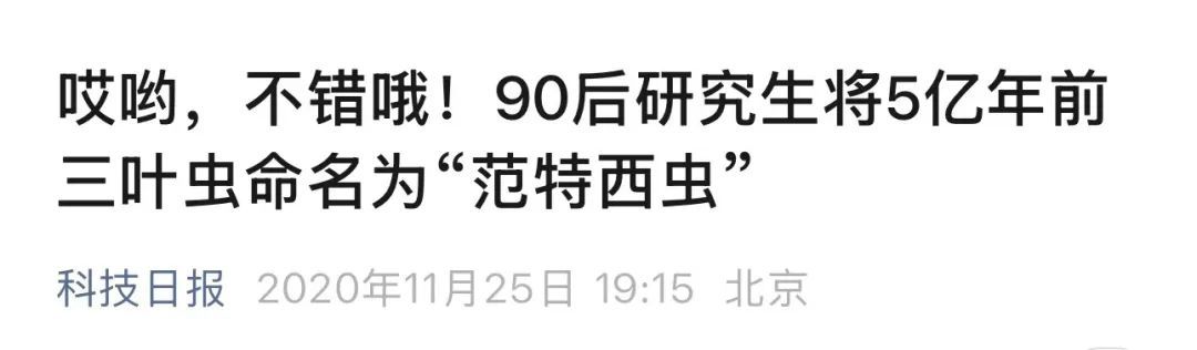 最强歌迷！16个新种蜘蛛都以周杰伦歌命名……