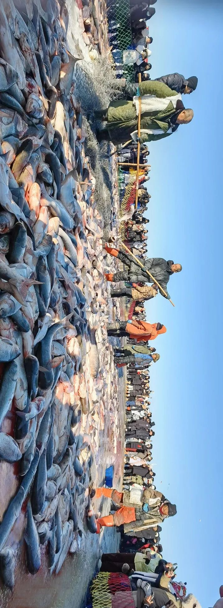 一天捕10万斤鱼的快乐谁懂啊~ 一天捕10万斤鱼的快乐谁懂啊~