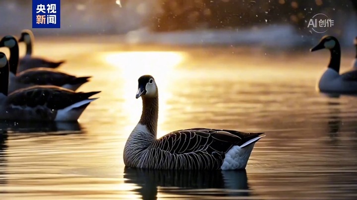 明日小寒：隆冬岁寒 静蓄年禧