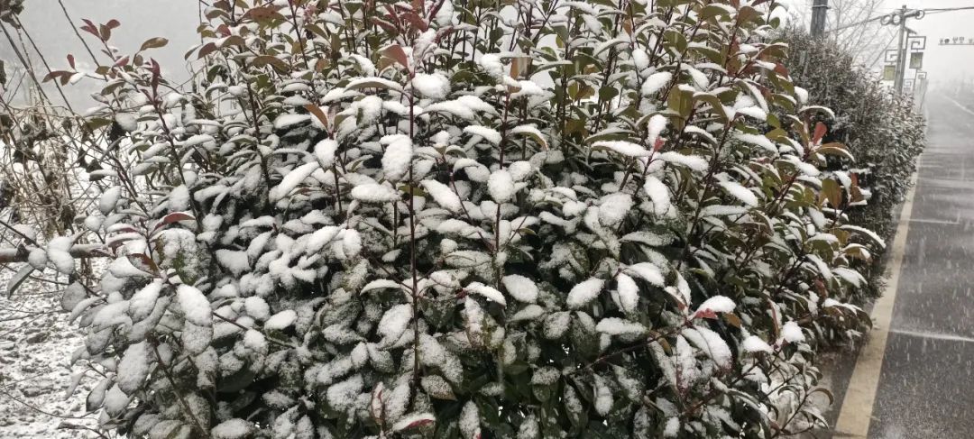 刚刚，湖北下雪了！最冷的天气要来了