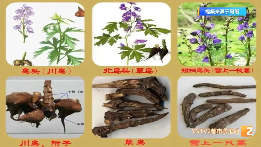 紧急提醒！别随便吃！0.12毫克就可中毒，3到4毫克即可致死！