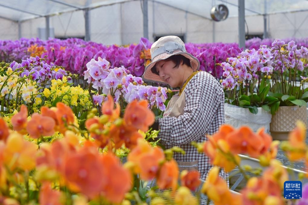 花卉管护忙