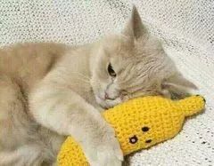 又是右转,面临这种危情该如何“逃离”盲区? 又是右转,面临这种危情该如何“逃离”盲区?