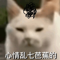 又是右转,面临这种危情该如何“逃离”盲区? 又是右转,面临这种危情该如何“逃离”盲区?