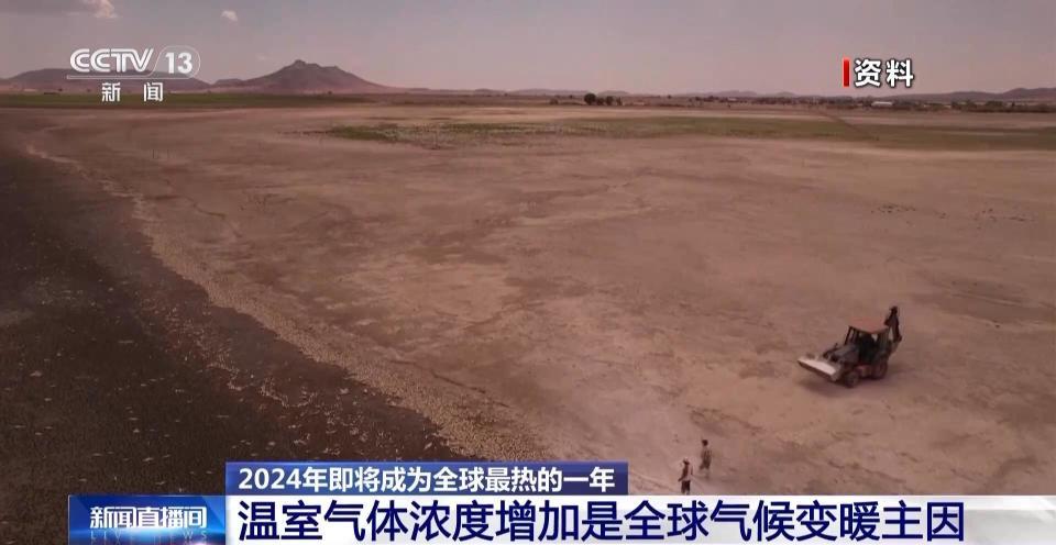平均气温创历史新高！2024年全球气候变暖怎么回事儿？专家回应