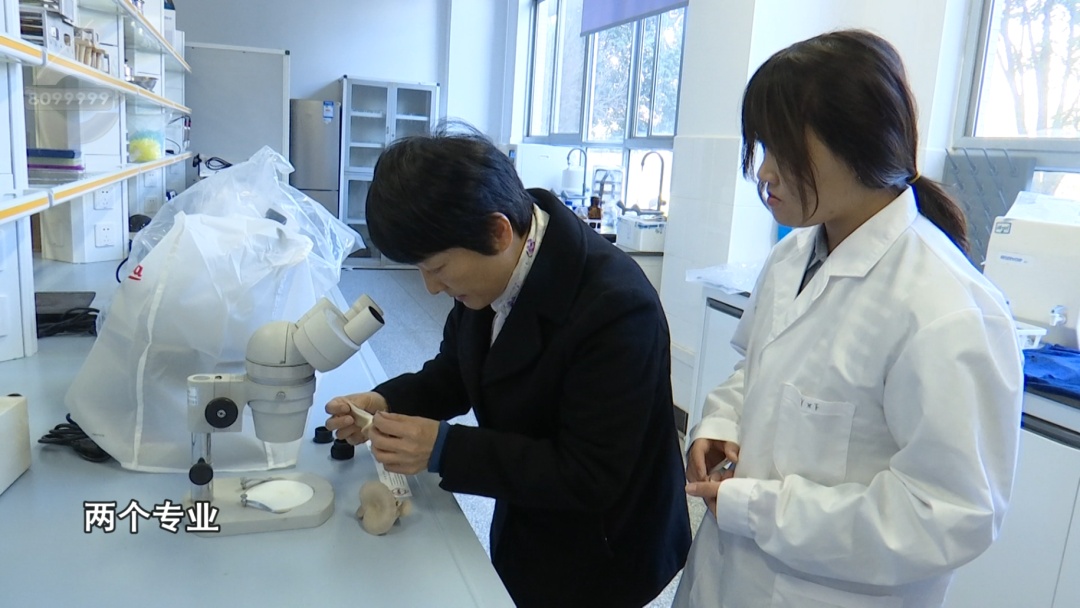 “滇”味十足！云南首个“菌子学院”9月开始招生，真“香”啊