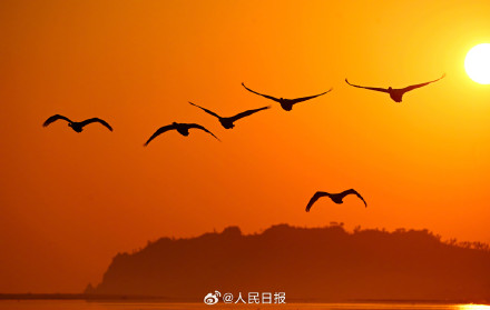 当天鹅湖邂逅橘色晨曦 当天鹅湖邂逅橘色晨曦