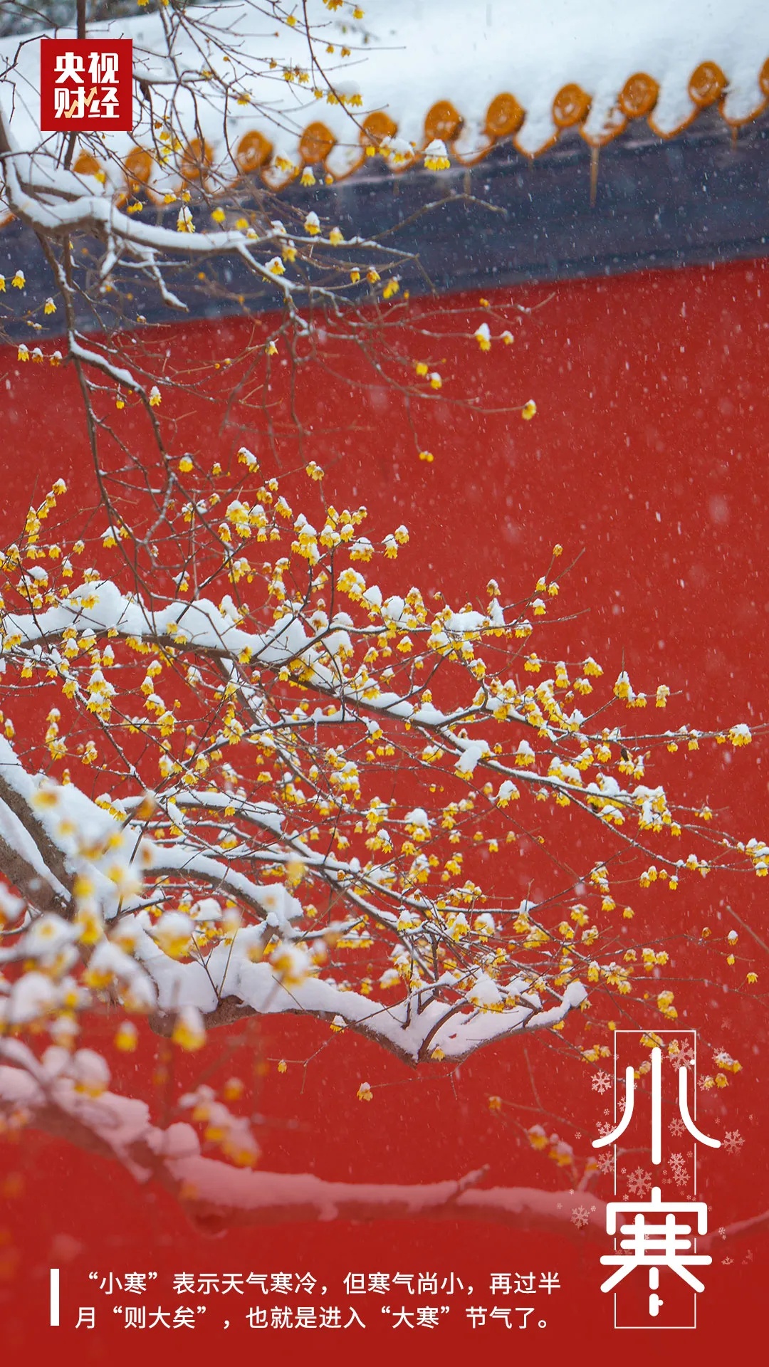 全年气温最低的节气来了！这些养生锦囊快收好！