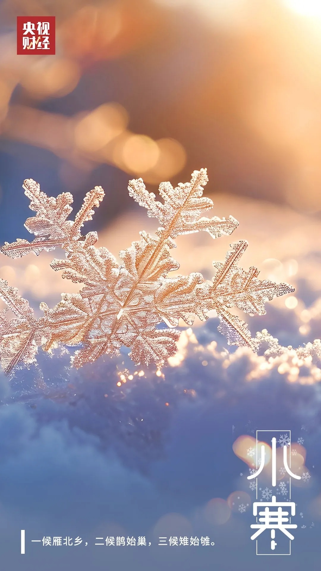 全年气温最低的节气来了！这些养生锦囊快收好！