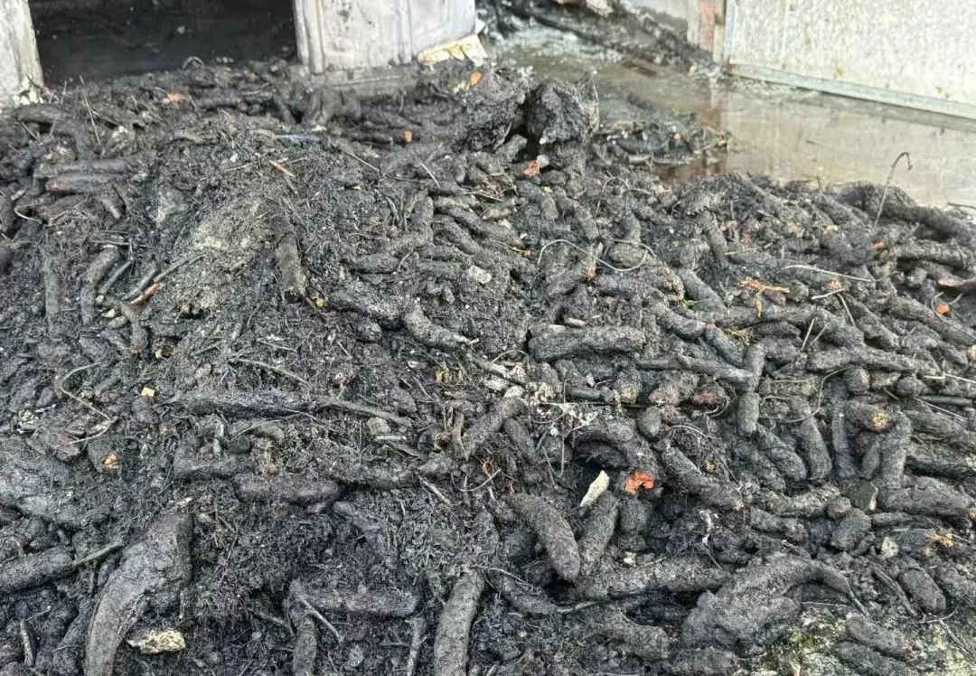 一个操作失误,千余斤腊味葬身火海! 一个操作失误,千余斤腊味葬身火海!