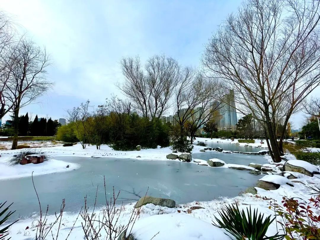 今日小寒，一年中最冷的时期到了！郑州的初雪还要等多久？