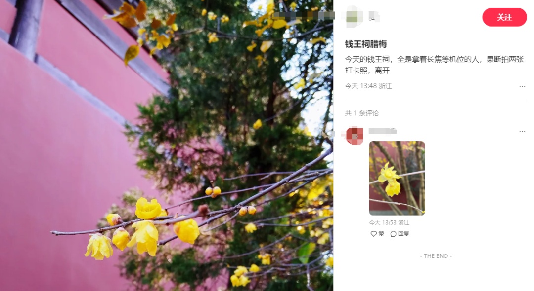 跌破0℃！杭州大反转！但有个好消息：不少人提前出动了......