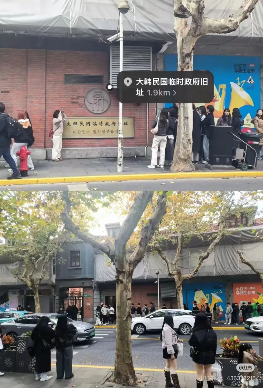 上海街头韩国人扎堆了思密达！网友总结规律：“统一发型”与打卡路线，一眼认出→