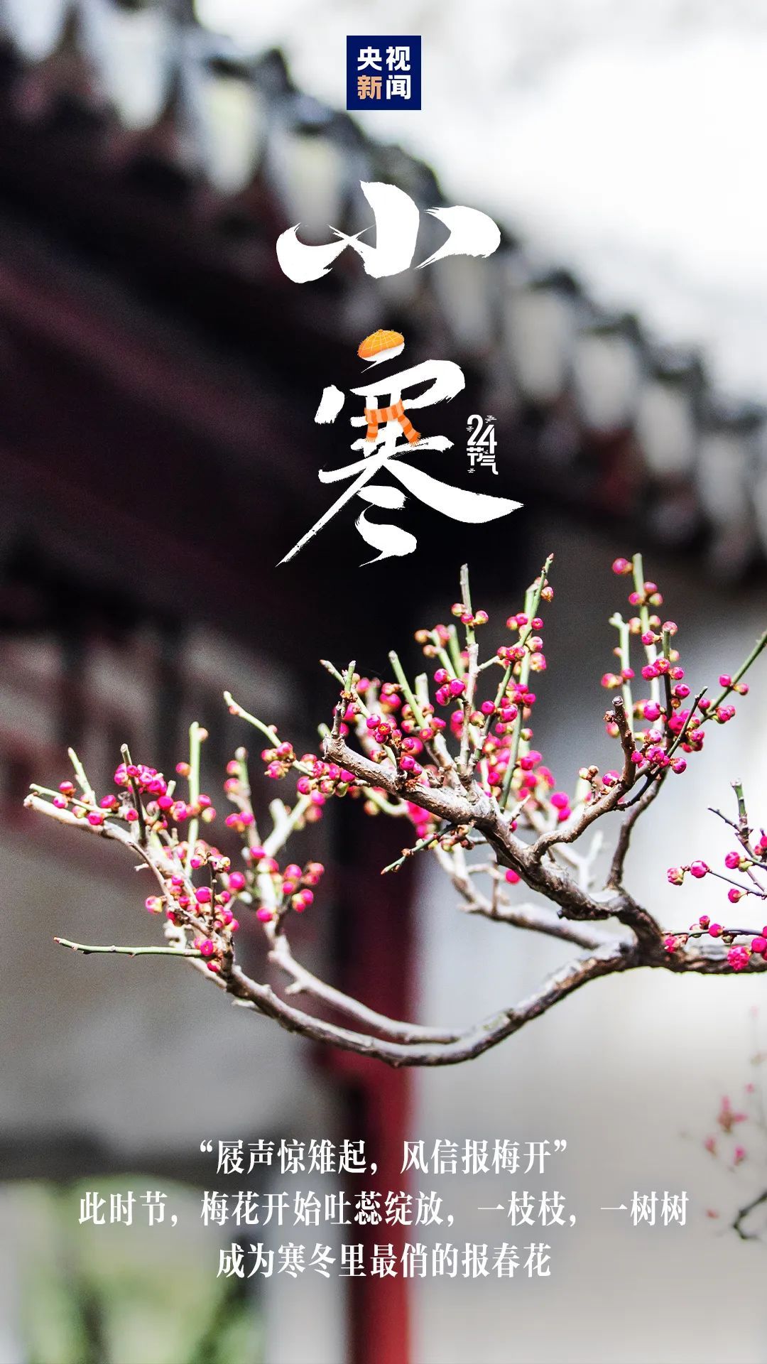 降温+降雨+大风！广西天气要反转