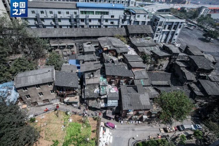 2010→2024，这对火遍全国的父子，如今怎么样了？