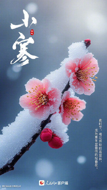 2025年第1个节气 2025年第1个节气