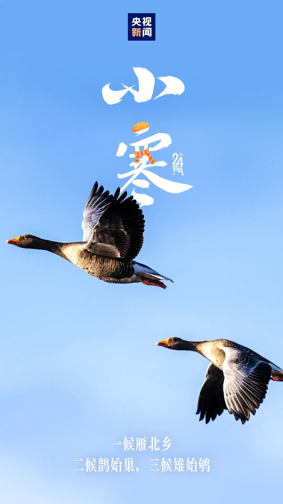 降温+降雨+大风！广西天气要反转