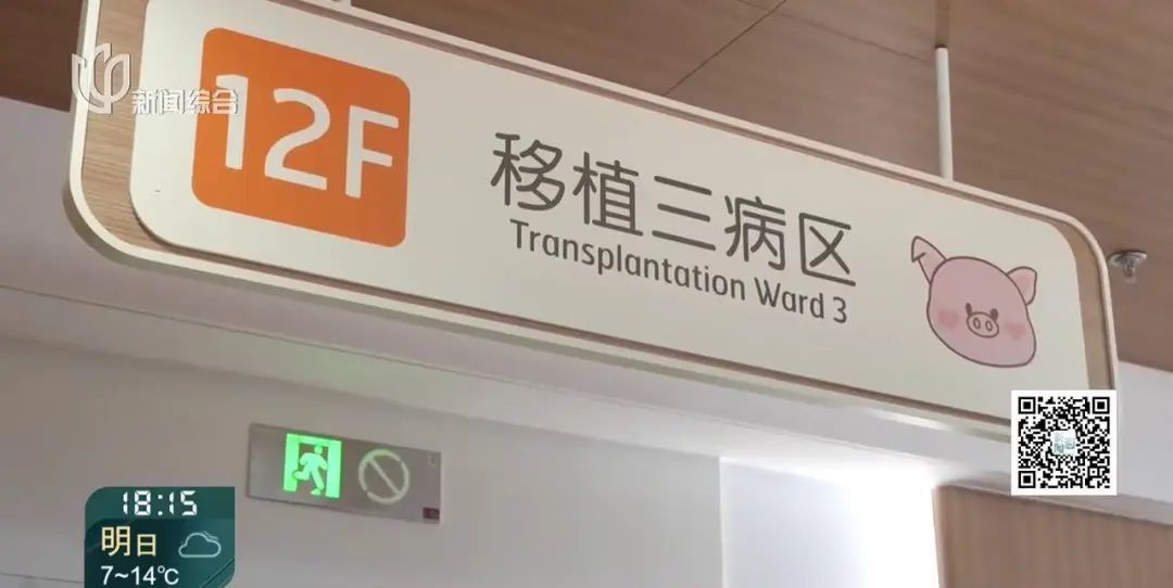 1月1日起进医保了!有患者激动哭了:原来1年要10万多... 1月1日起进医保了!有患者激动哭了:原来1年要10万多...