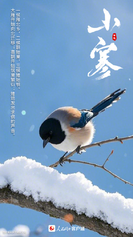 2025年第1个节气 2025年第1个节气