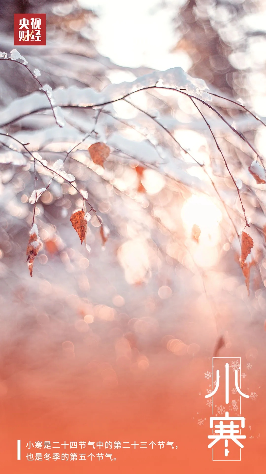 全年气温最低的节气来了！这些养生锦囊快收好！