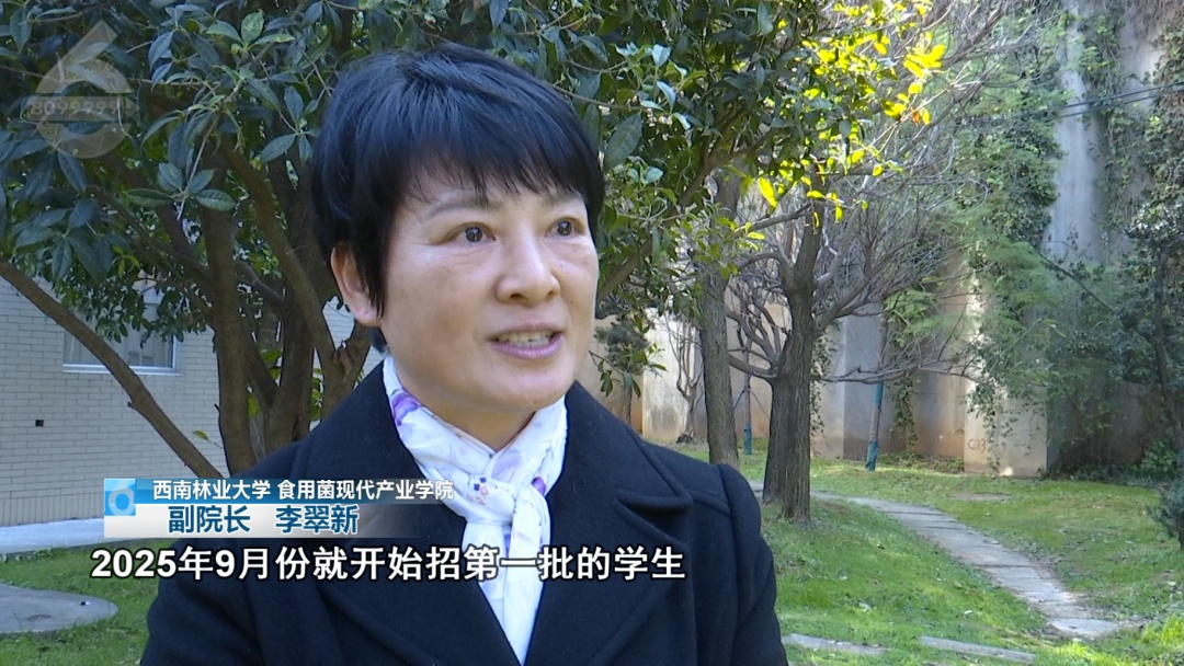 “滇”味十足！云南首个“菌子学院”9月开始招生，真“香”啊