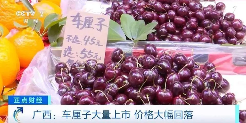 价格再跳水!正大量上市,很多昆明人爱吃……网友:今年过年终于敢买了 价格再跳水!正大量上市,很多昆明人爱吃……网友:今年过年终于敢买了