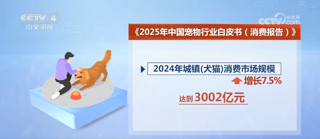 “小”宠物激发“大”市场 “它经济”成为年轻力消费新趋势