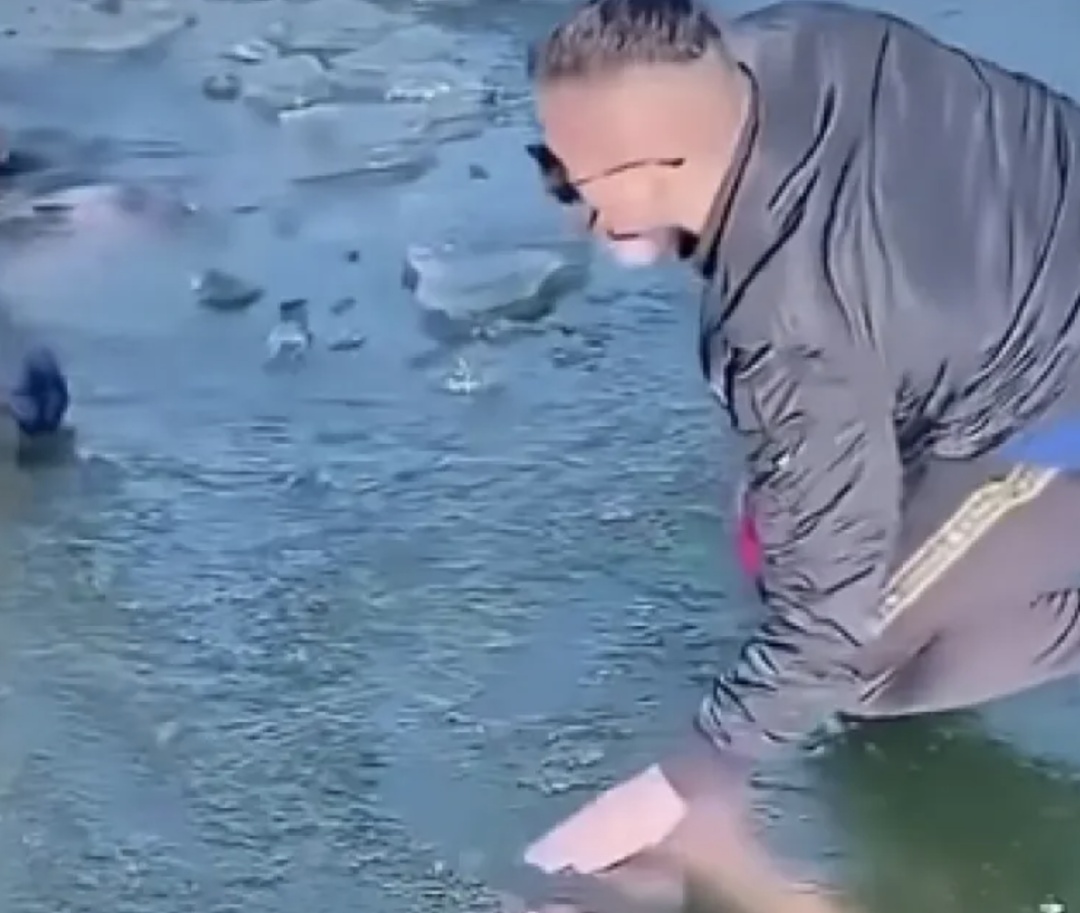 一冬泳爱好者被困冰层下!最新消息:已打捞上岸,失去生命体征 一冬泳爱好者被困冰层下!最新消息:已打捞上岸,失去生命体征