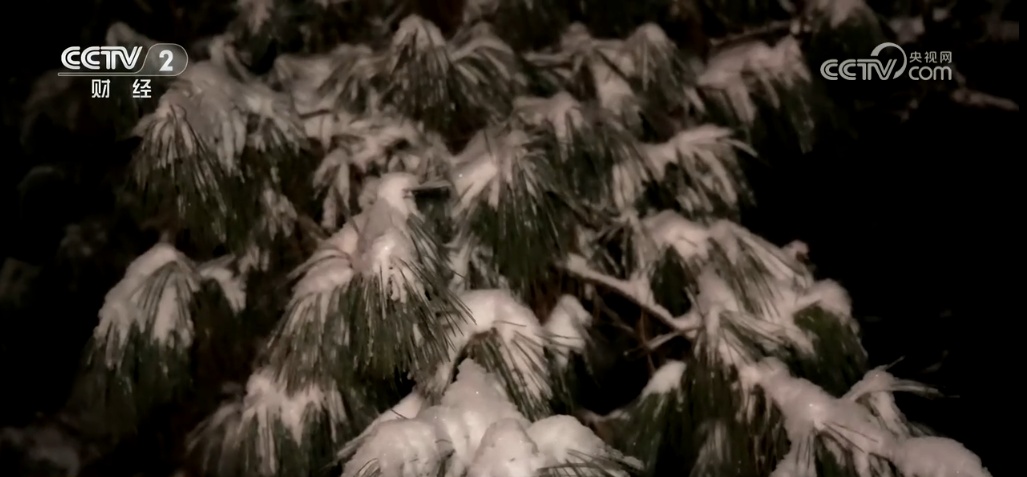 南方部分地区遭遇雨雪冰凌天气 相关部门迅速行动保障群众出行安全畅通