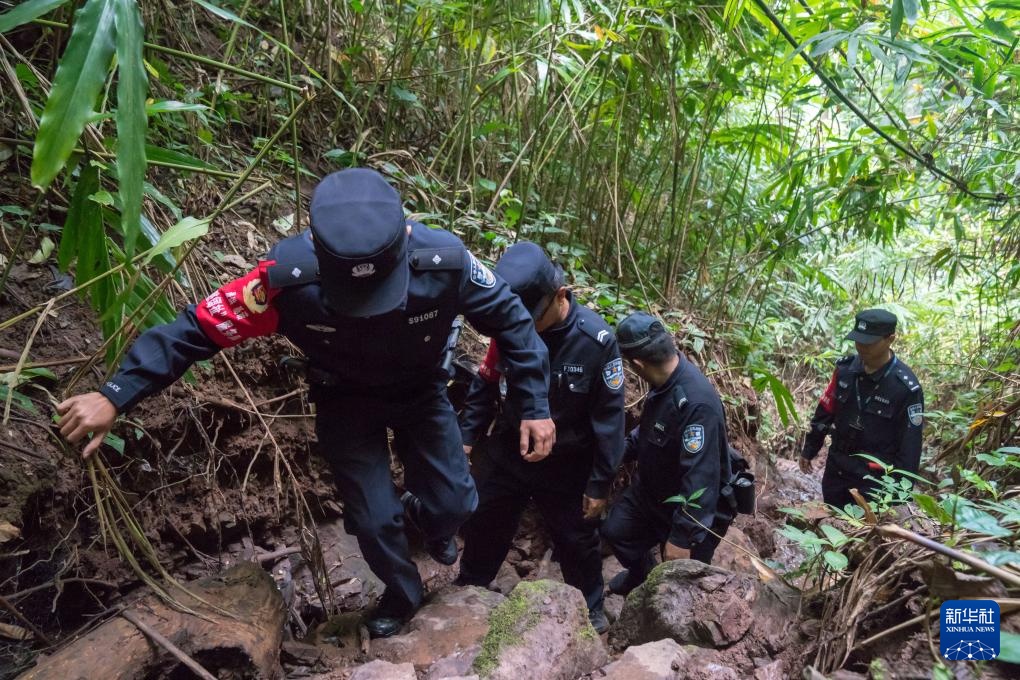 云南基诺山:雨林深处有“富矿” 云南基诺山:雨林深处有“富矿”