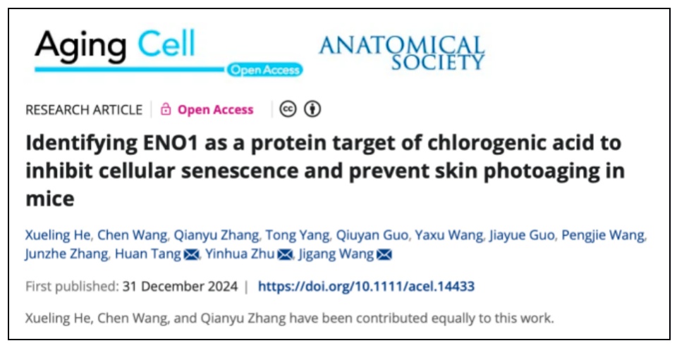 一天一杯咖啡到底是“加速衰老”还是“延缓衰老”?答案让人意外 一天一杯咖啡到底是“加速衰老”还是“延缓衰老”?答案让人意外