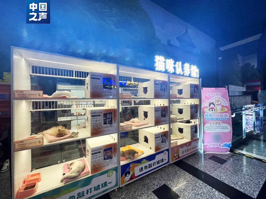 “猫贷”背后的猫腻 “猫贷”背后的猫腻