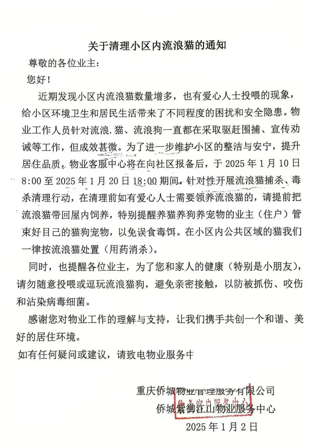 重庆一小区发通知捕杀流浪猫？物业回应：表述欠缺考虑，已撤回通知