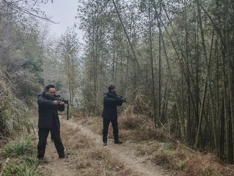 黄牛失控横冲直撞!警方无人机追踪,果断击毙 黄牛失控横冲直撞!警方无人机追踪,果断击毙