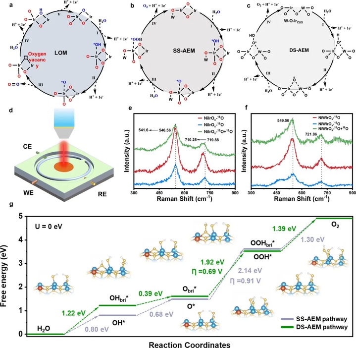 我科研团队在水电解制氢电催化领域取得重要研究进展