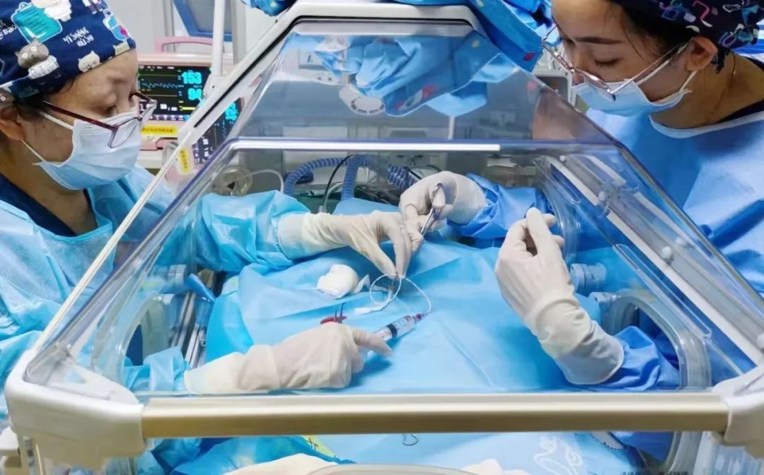 刷新海南纪录！出生时仅455克，海口“迷你宝宝”顺利出院