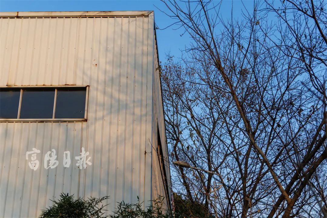 “小可爱”泛滥！男子头疼：没完没了，还抓不得