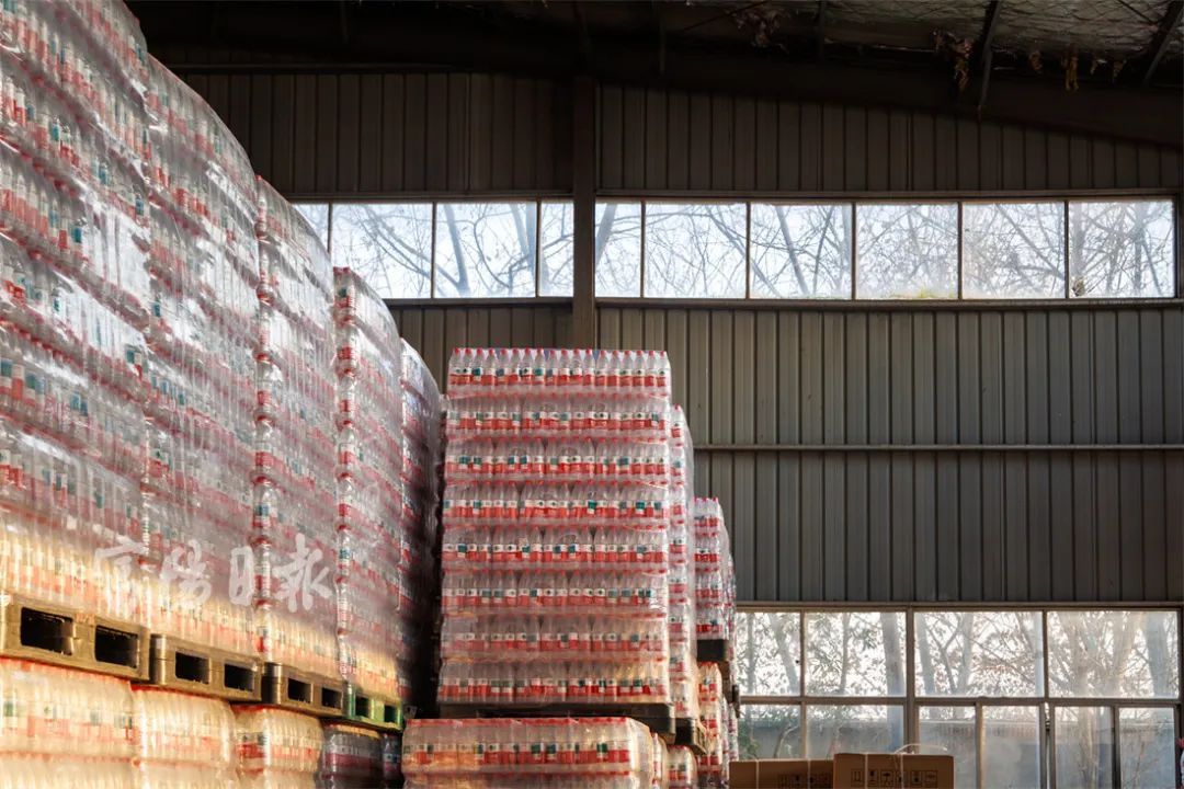 “小可爱”泛滥！男子头疼：没完没了，还抓不得