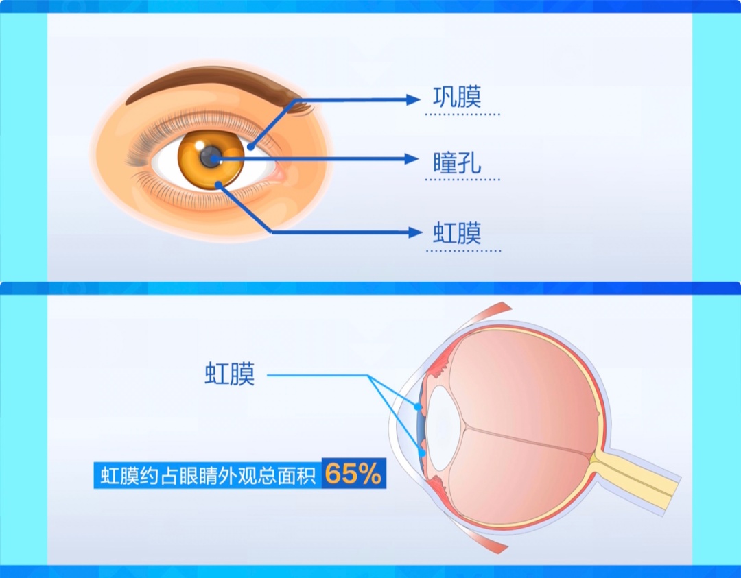 “虹膜写真”背后的惊人隐患,信息泄露只是冰山一角! “虹膜写真”背后的惊人隐患,信息泄露只是冰山一角!