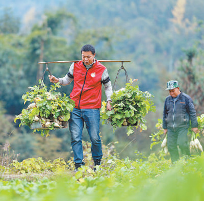 花样“翻新”，“打法”更新！年节严把“廉洁关”
