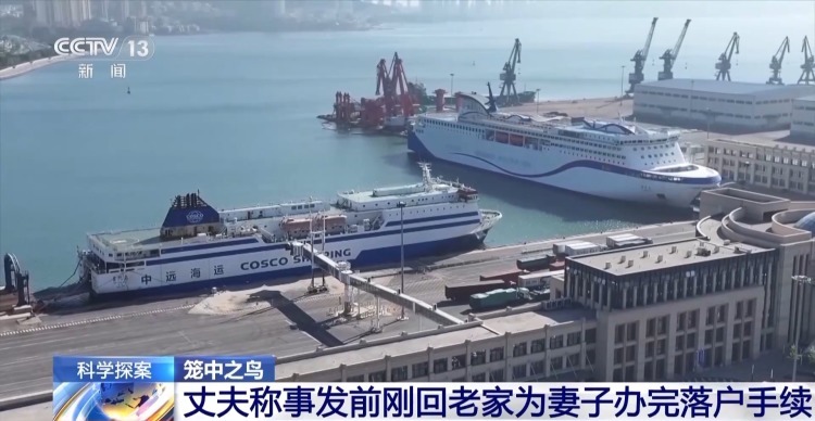 法治在线丨一起离奇坠海事故 牵出千万元级杀妻骗保大案 法治在线丨一起离奇坠海事故 牵出千万元级杀妻骗保大案