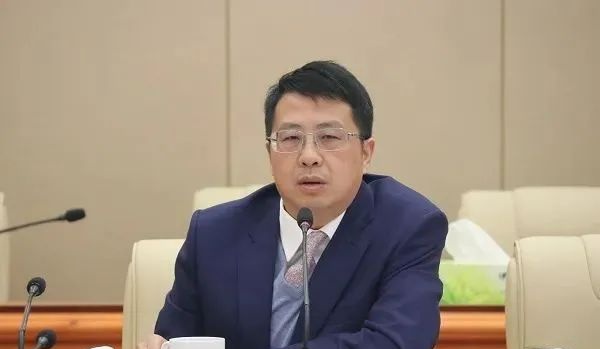 通过民间借贷获取大额回报，邵阳市原副市长沈志定被决定逮捕